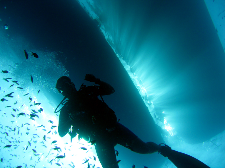 diver_under_the_boat