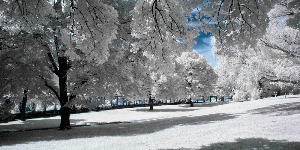 Infrared