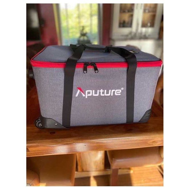 Aputure LS 600X Pro w/dome, used