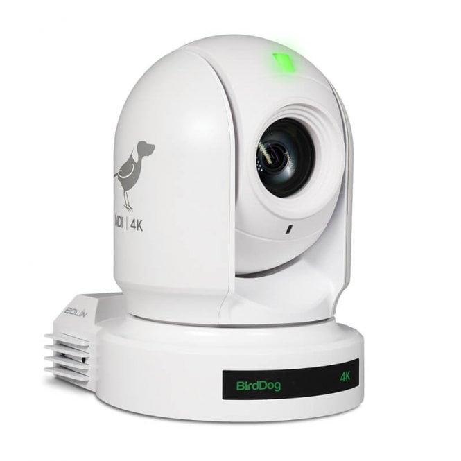 BirdDog Eyes P400W