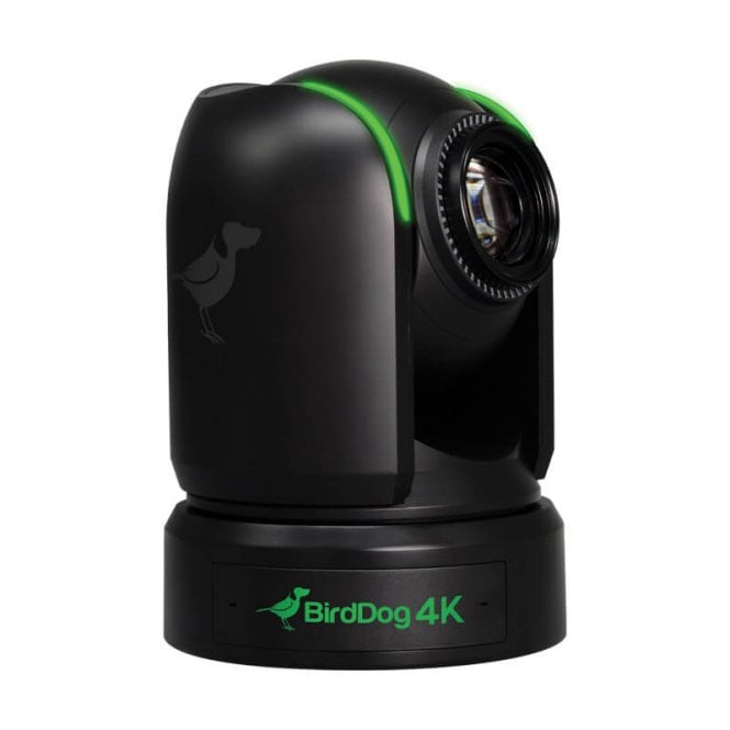 BirdDog P4KB
