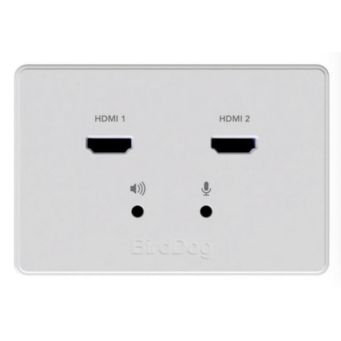 BirdDog Wallplate Input