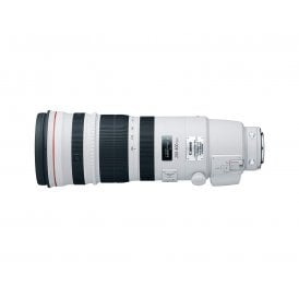 EF 200-400mm f/4L IS USM Extender 1.4x