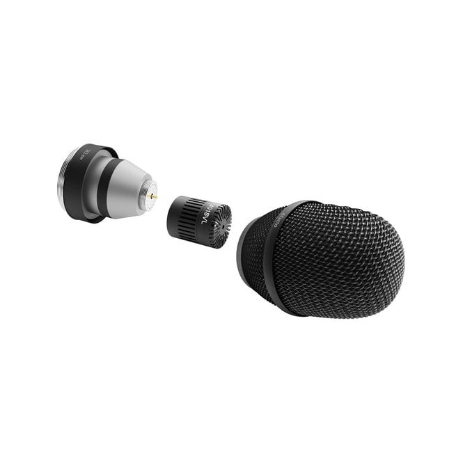 DPA d:facto 4018VL Linear Supercardioid Mic, SE2-ew Adapter, Black