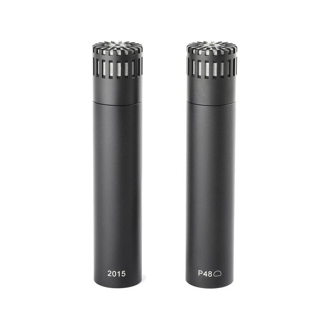 DPA ST2015 Stereo Pair with Holders and Windscreens