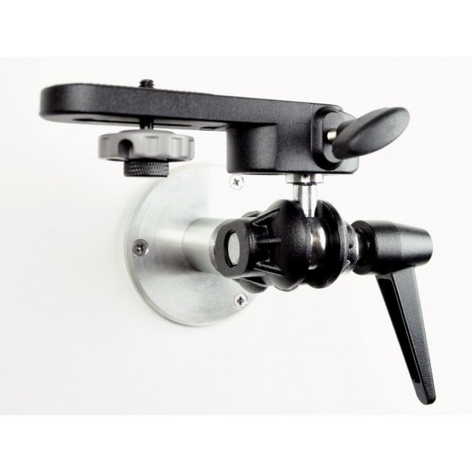 Hague Ceiling Mount With Double Ball Bracket