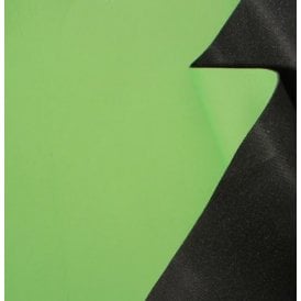 Digital Green, 12'X12'